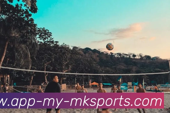 MK体育APP品牌故事